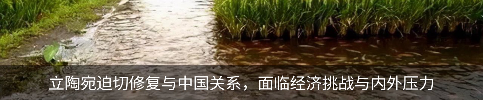资讯中心